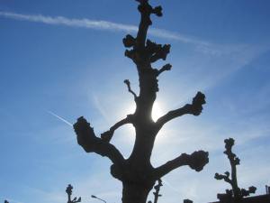 Luchtvaartsmog_20140320_150848_RvW