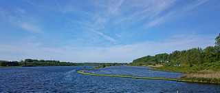 17531008214_36f286c4b0_n