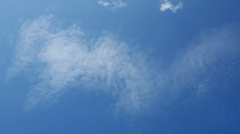 #323_2015-7-30_16-9-19