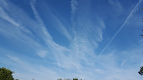 #361 2015-08-06 07.54.24