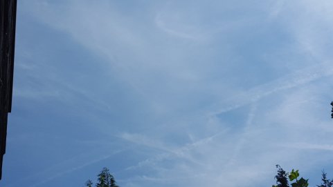 #367-2 2015-08-06 13.59.52