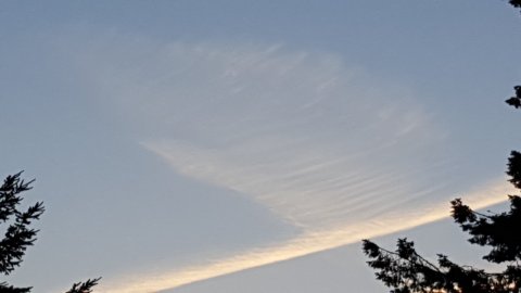 #367-5 2015-08-06 21.20.51